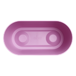 brussels orchid duo 25cm vivid violet